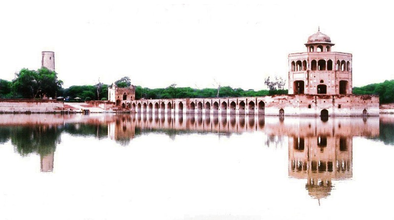 Muhammad Mujahid Shami