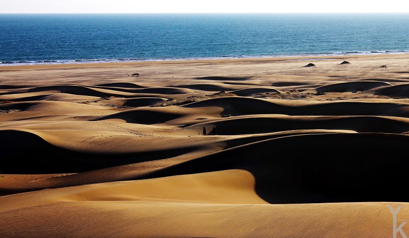 Syed Yasir Iqbal Kazmi