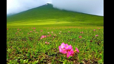 zubair khan