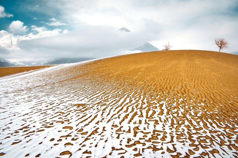 Wazir Muhammad Hafeez